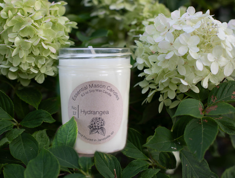 Hydrangea Soy Candle - 6.2 oz